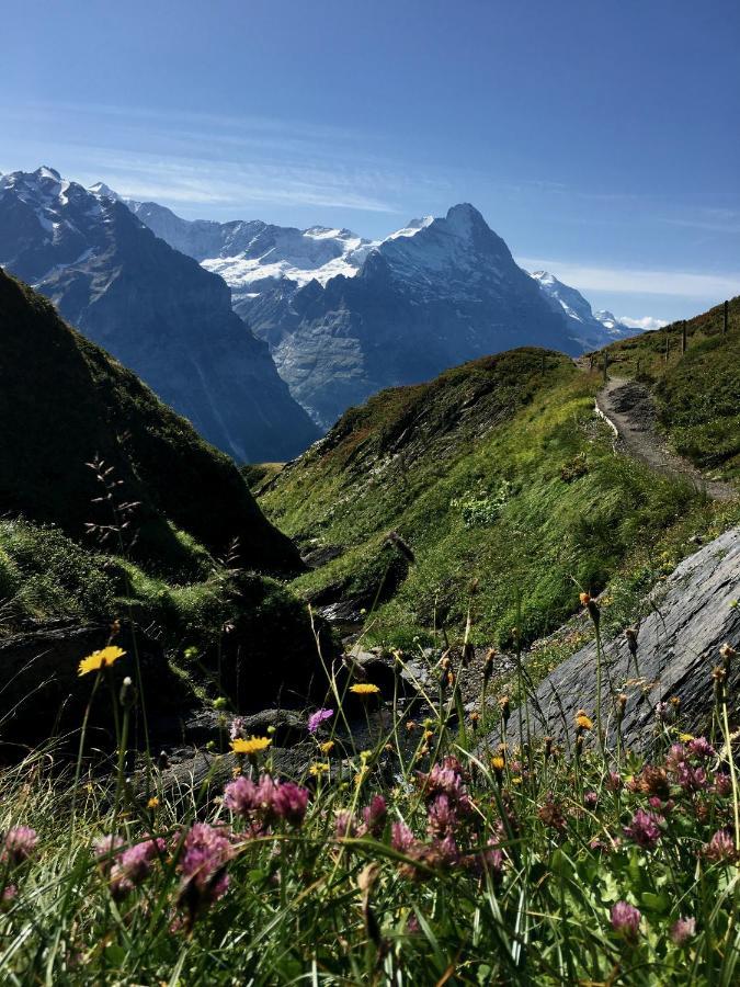 Apartament Silberhorn Grindelwald Zewnętrze zdjęcie
