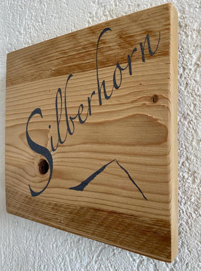 Apartament Silberhorn Grindelwald Zewnętrze zdjęcie